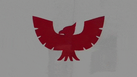 File:CaptainFalconPose3WiiU.gif