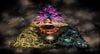 Sacred Land