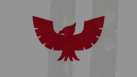 CaptainFalconPose2WiiU.gif