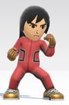 SSBU Tracksuit.jpg