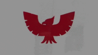 CaptainFalconPose3WiiU.gif
