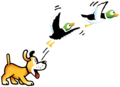 974. Duck Hunt