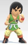 SSBU Martial Artist Gi (M).jpg